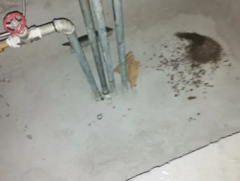 桂东卫生间测漏水价格明细